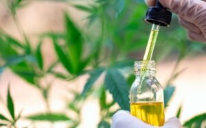 Health Benefits Of CBD Oil, Latest celebrity, entertainment, news ,in the world, vnmaths
