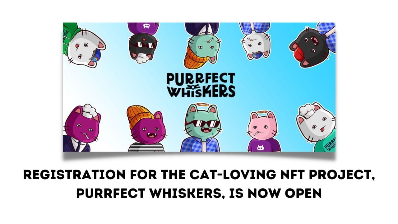 Registration for the Cat-Loving NFT Project, Purrfect Whiskers, Is Now Open