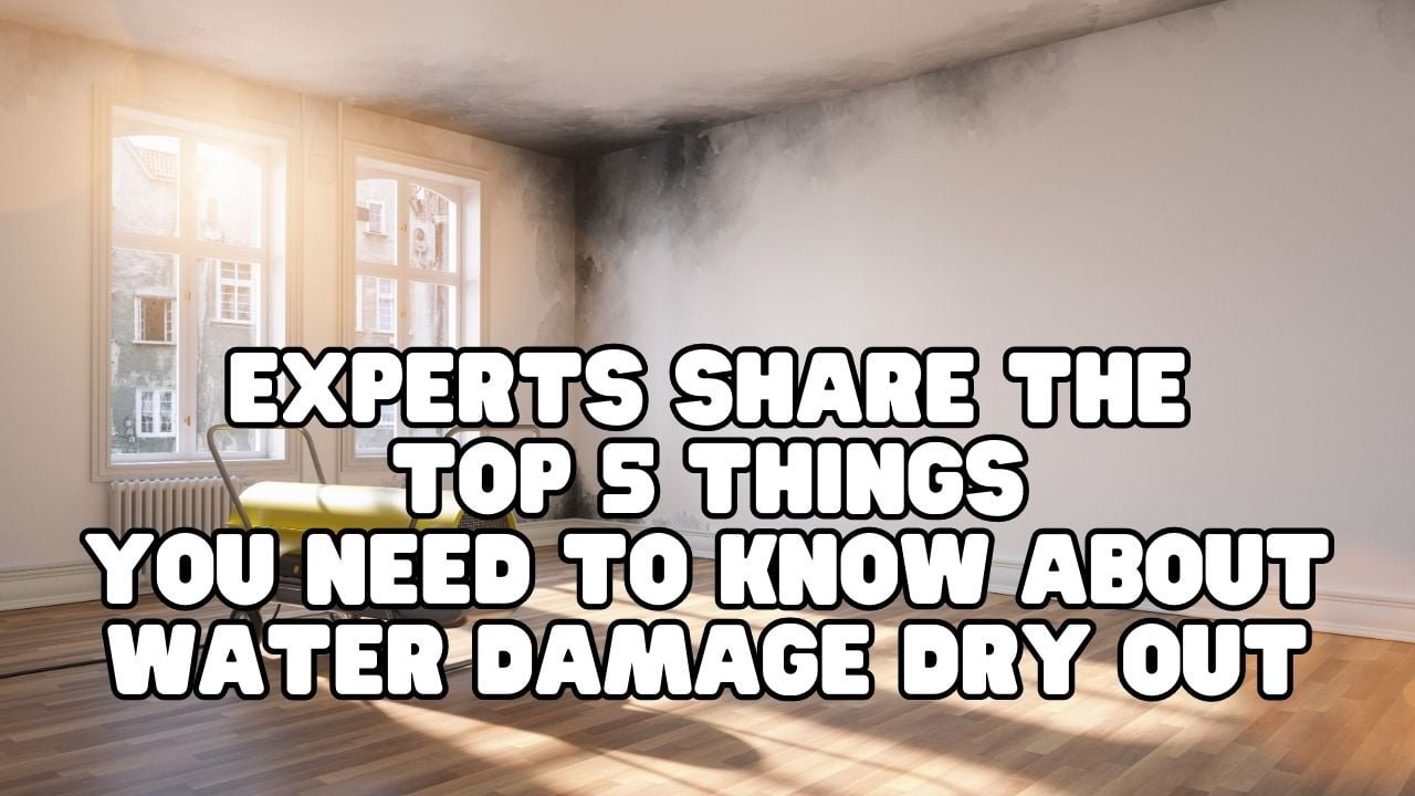 Experts Share The Top 5 Things You Need to Know About Water Damage Dry Out